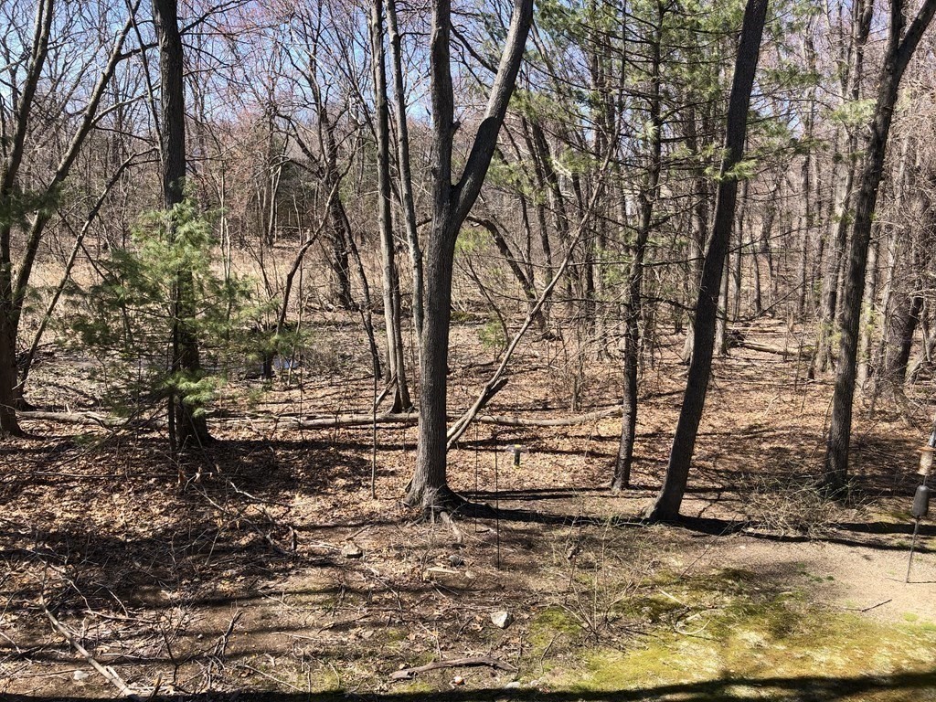 33 Woodlea Road North Andover, MA 01845 - Photo 16 of 17 Gallery Image 16