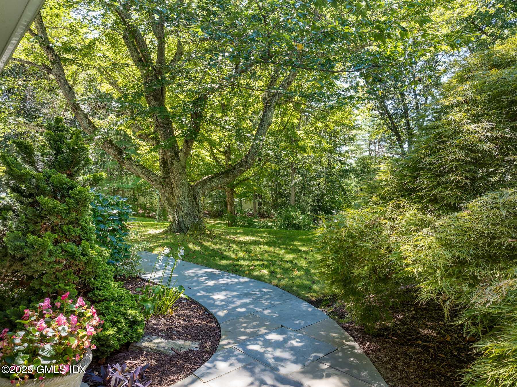 267 Riversville Road Greenwich, CT 06831 - Photo 3 of 23 a view of a garden