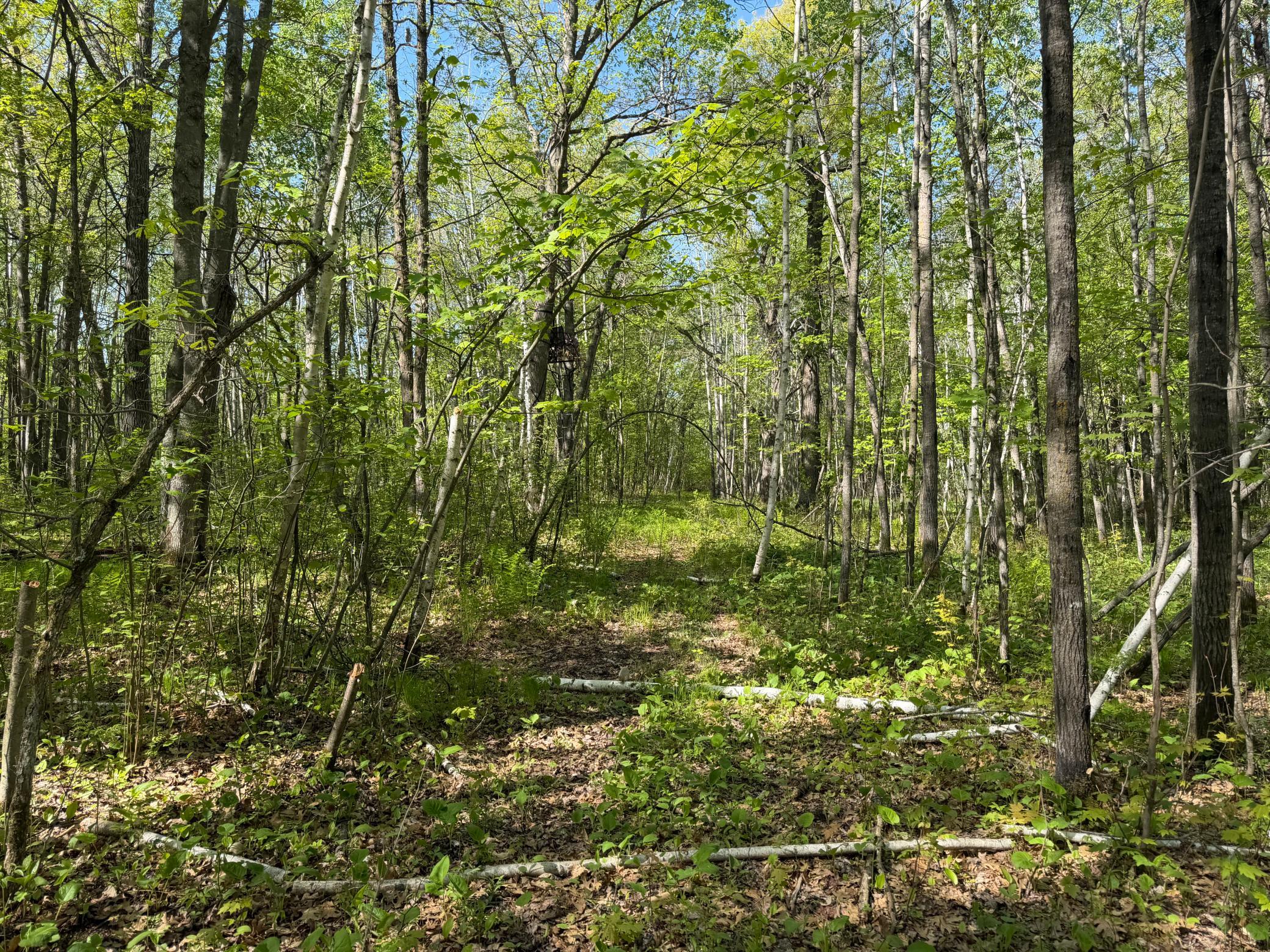 14 Sebeka Mn 56477 Sebeka, MN 56477 - Photo 53 of 79