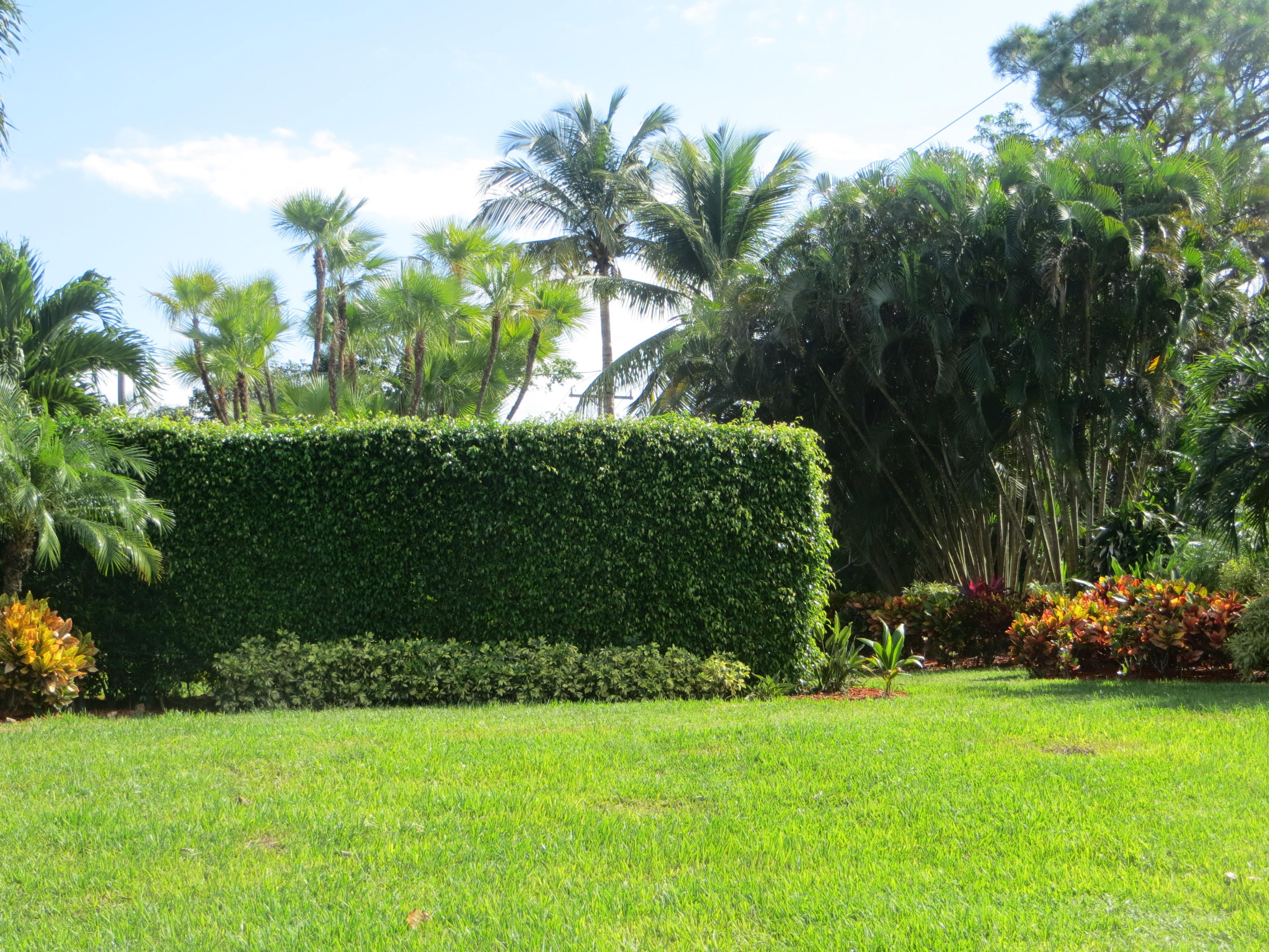 3416 Lowson Boulevard Delray Beach, FL 33445 - Photo 13 of 47 2017-11-18 13.00.59