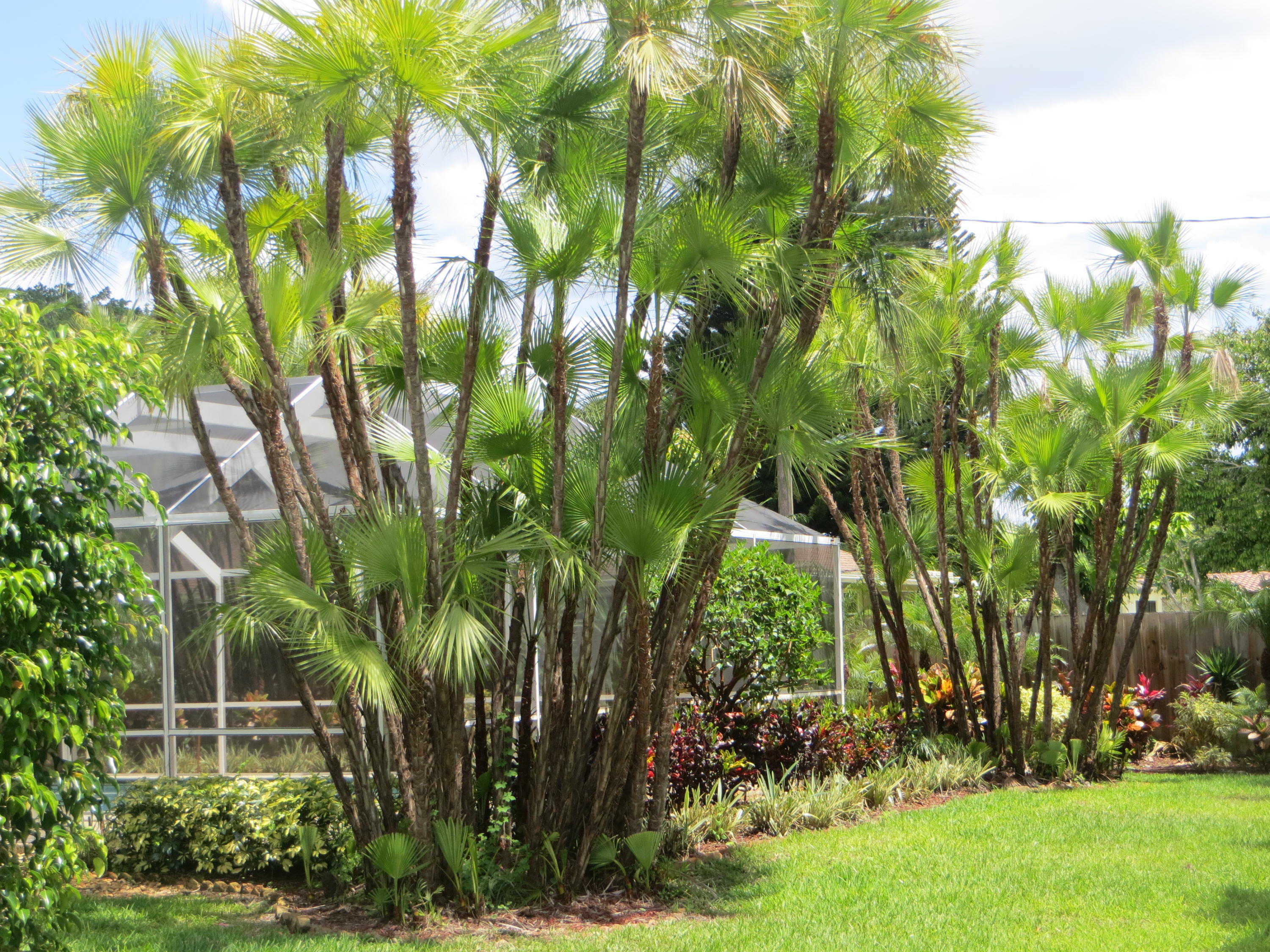 3416 Lowson Boulevard Delray Beach, FL 33445 - Photo 39 of 47 IMG_2825