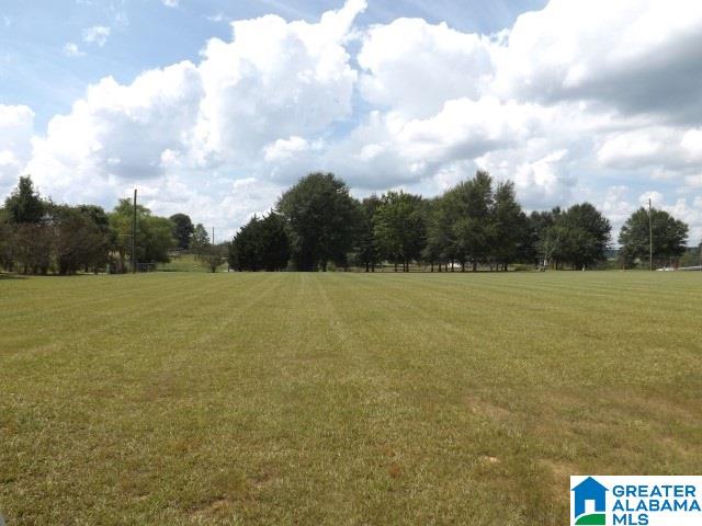 435 Wow Road, Unit 59 Blountsville, AL 35031 - Photo 44 of 49