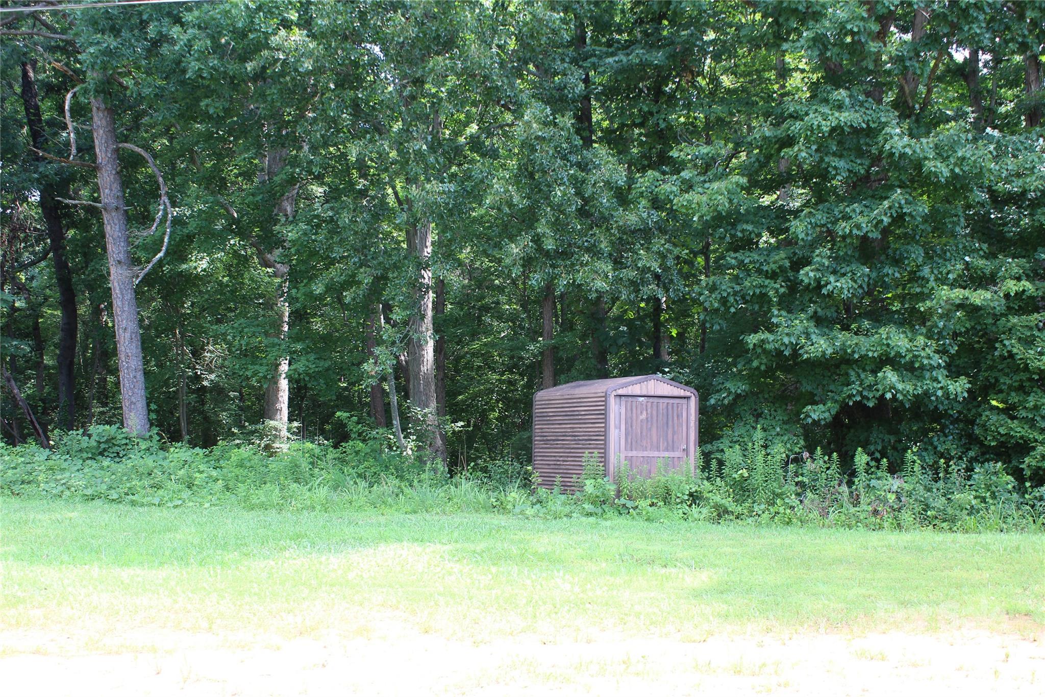7220 Little Mountain Road Sherrills Ford, NC 28673 - Photo 3 of 10 a backyard of a house with trees and plants