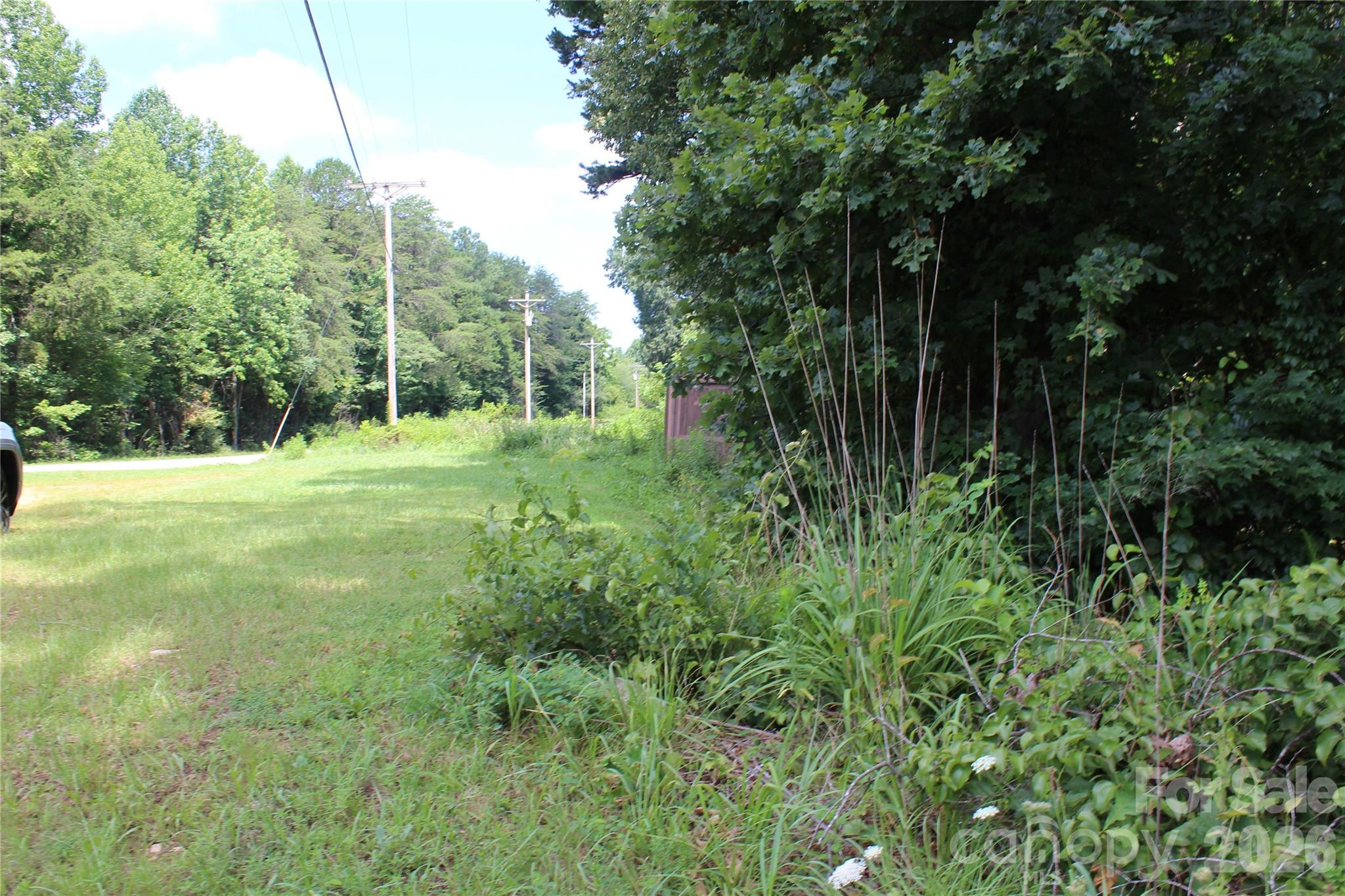7220 Little Mountain Road Sherrills Ford, NC 28673 - Photo 5 of 18 a view of outdoor space with green field and trees