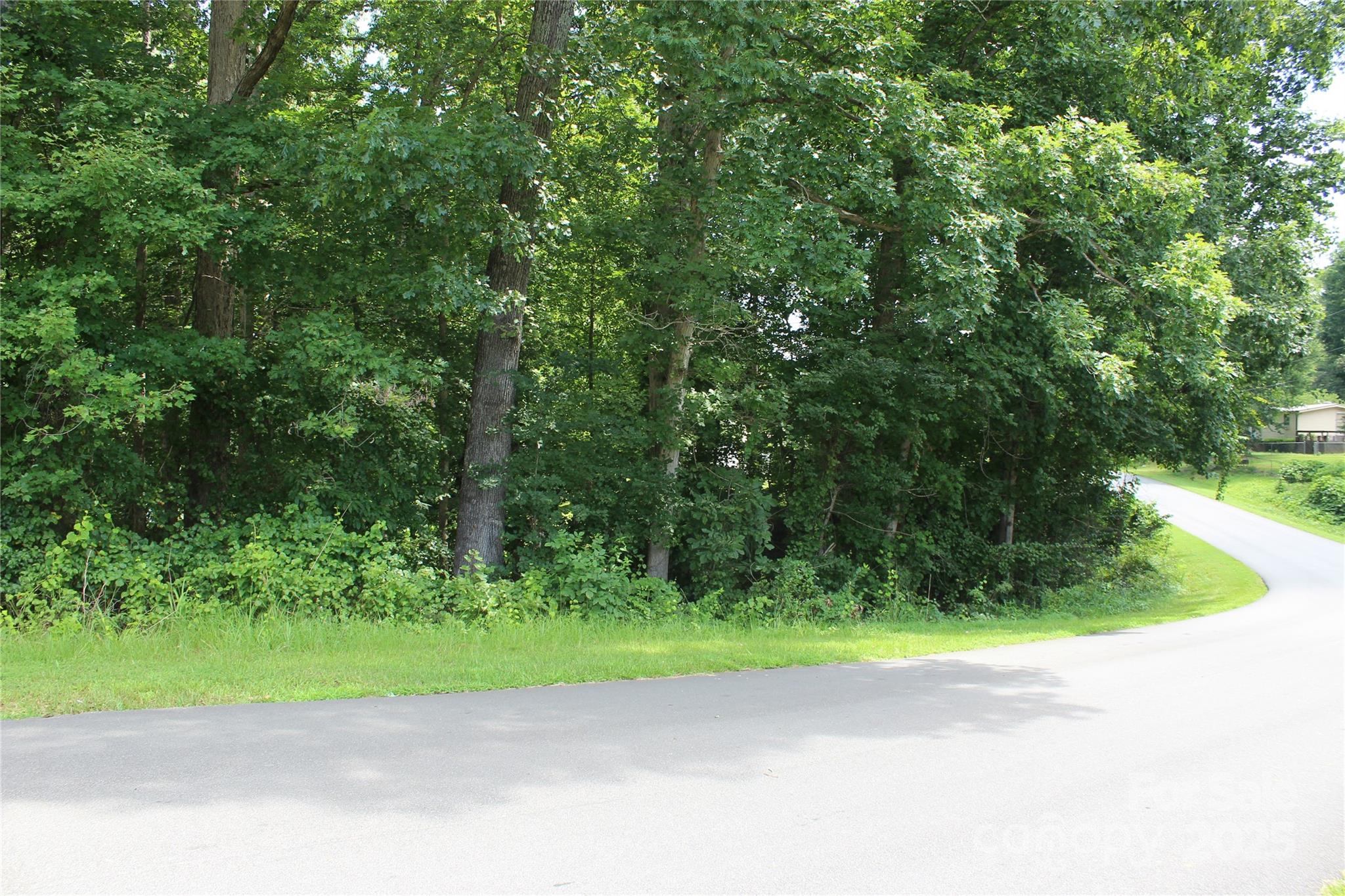 7220 Little Mountain Road Sherrills Ford, NC 28673 - Photo 6 of 10 a view of a yard with a trees