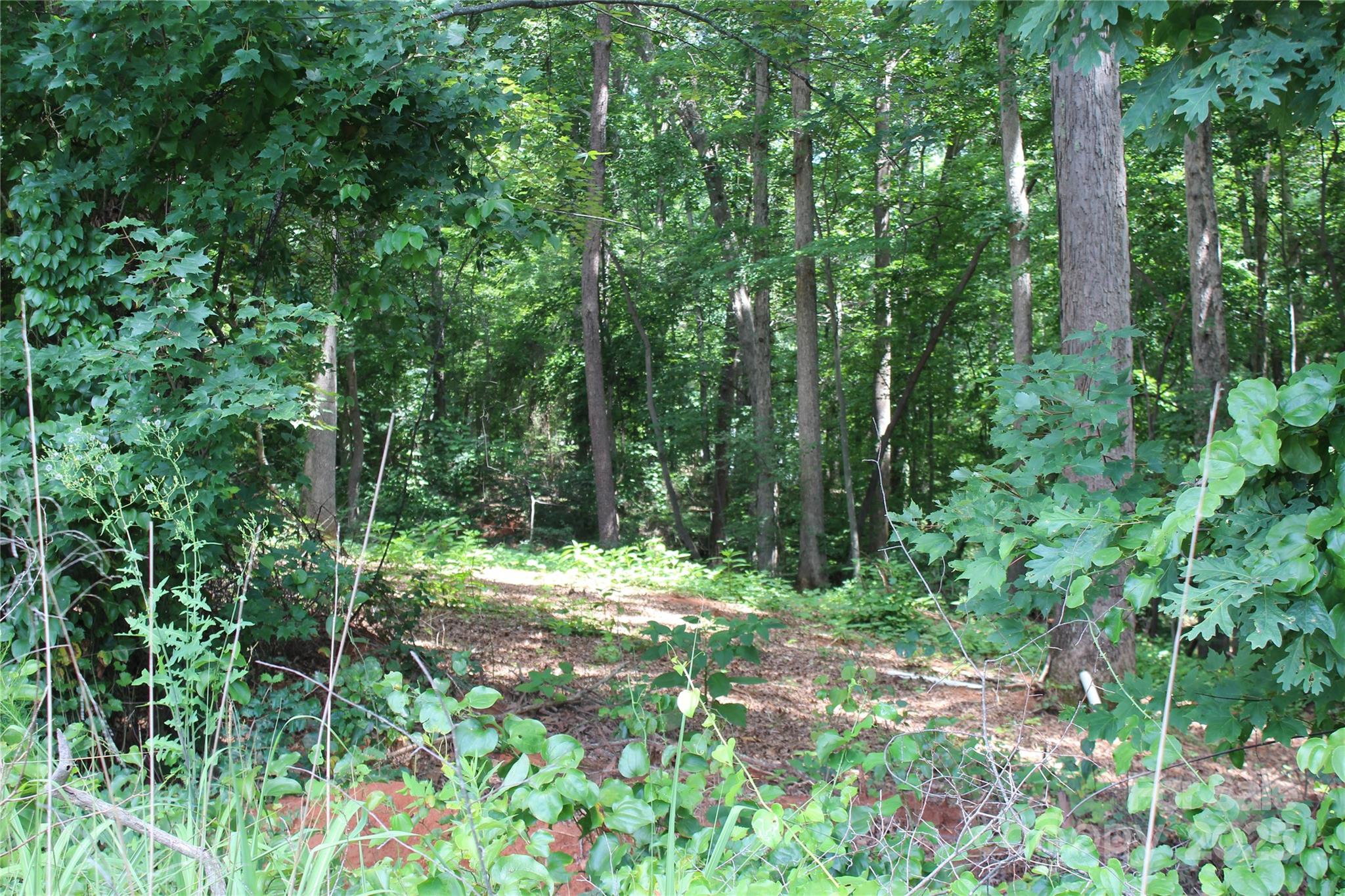 7220 Little Mountain Road Sherrills Ford, NC 28673 - Photo 9 of 10 a big yard with lots of green space and a fountain