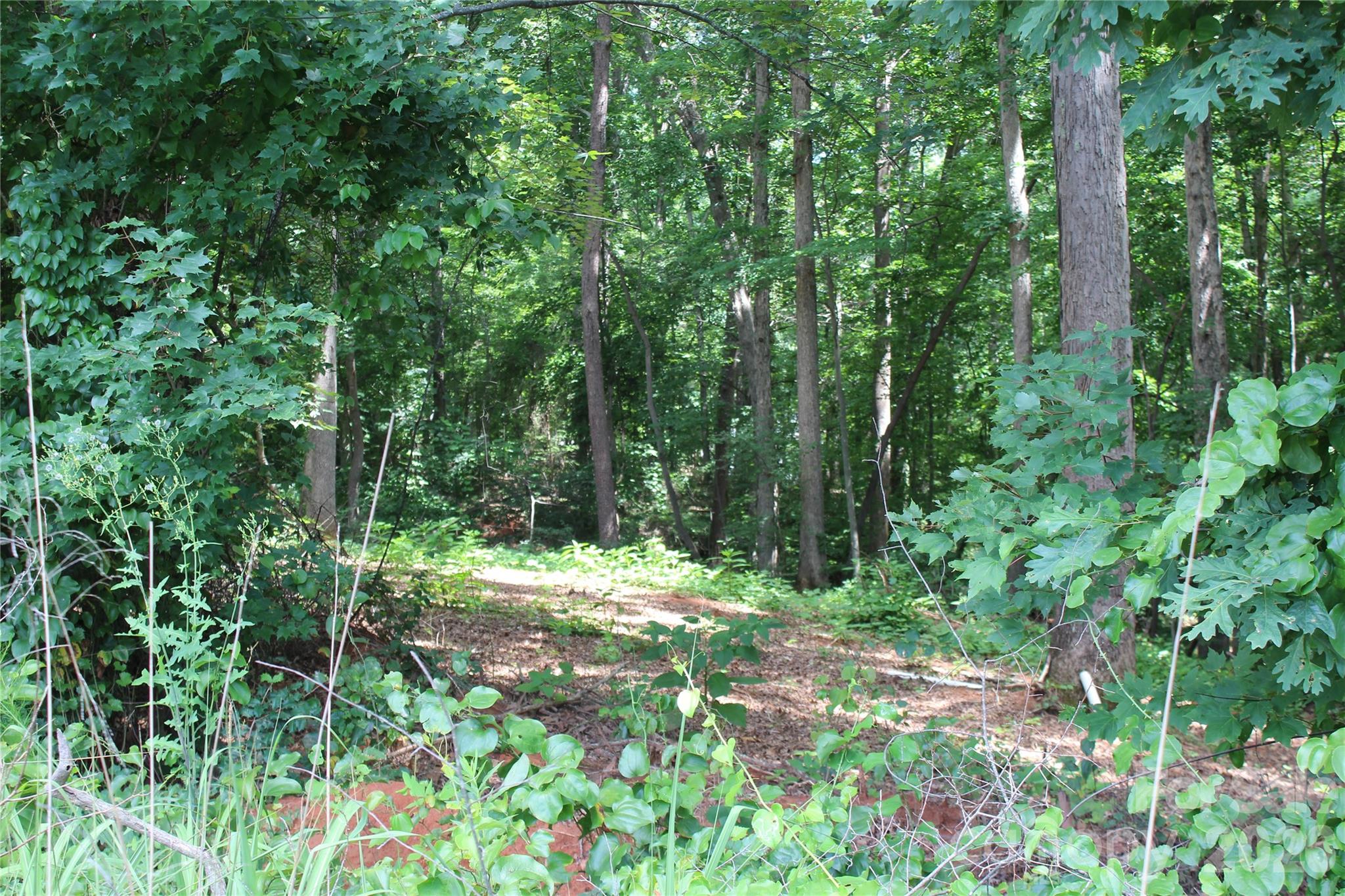 7220 Little Mountain Road Sherrills Ford, NC 28673 - Photo 9 of 18 a big yard with lots of green space and a fountain