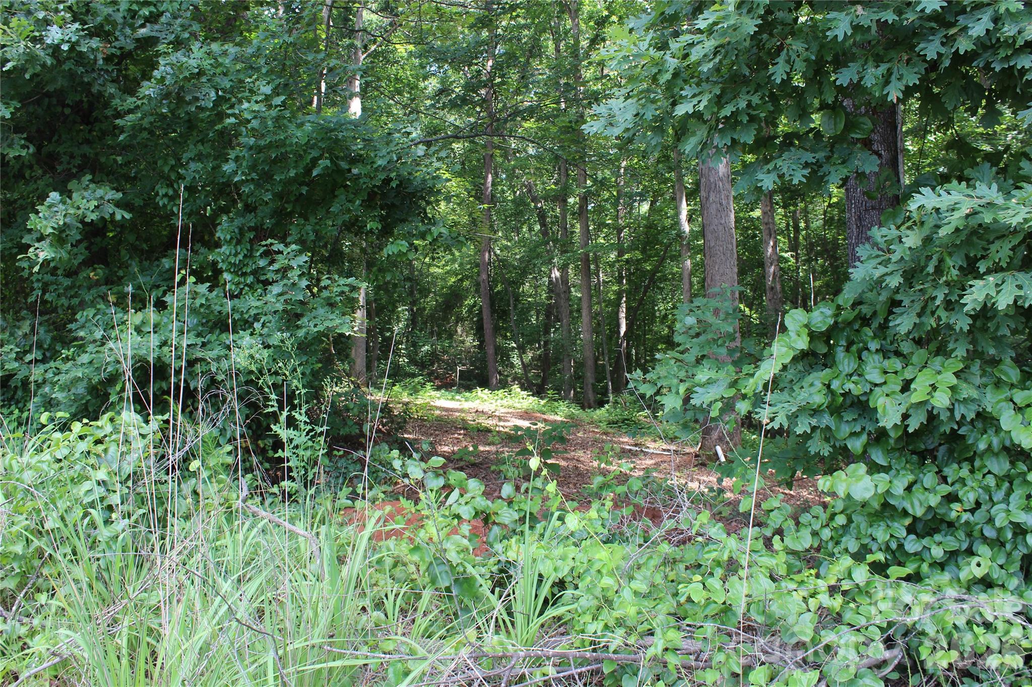 7220 Little Mountain Road Sherrills Ford, NC 28673 - Photo 10 of 18 a view of outdoor space and trees all around