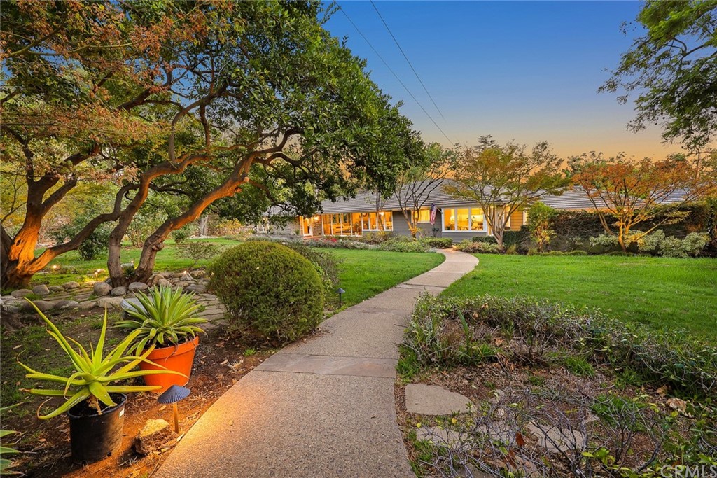 a view of a garden with a tree