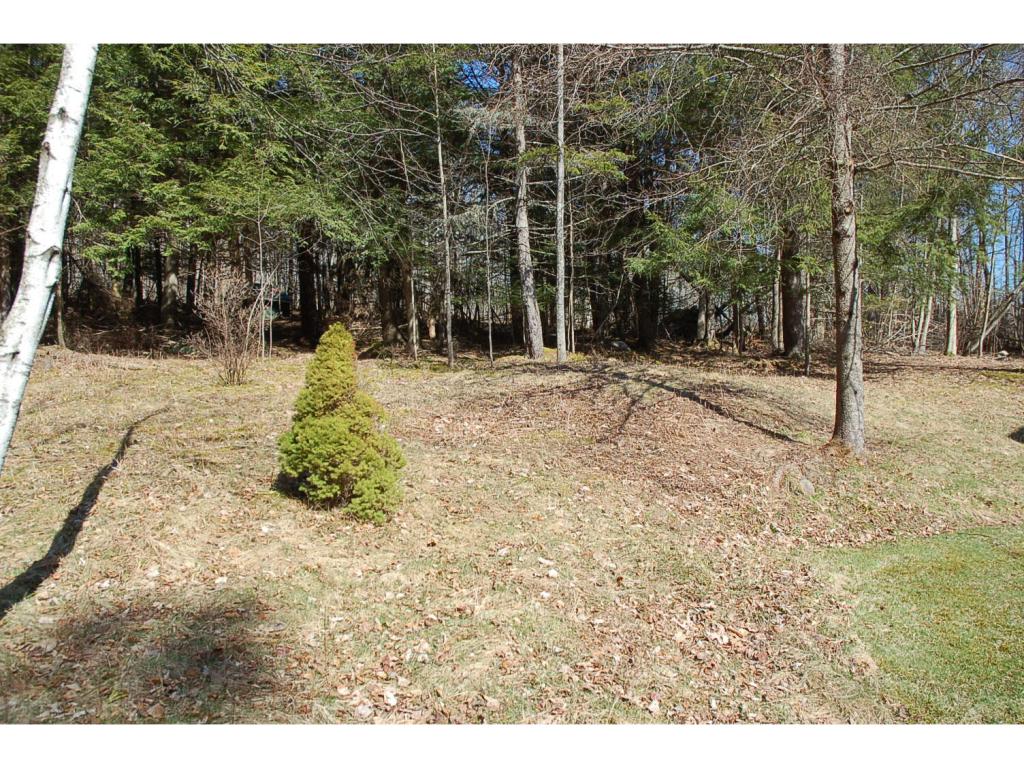 301 Robbins Crossroad Ripton, VT 05766 - Photo 22 of 23