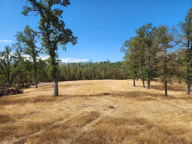 a view of empty space with trees