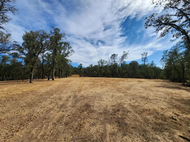 a view of a yard with large trees
