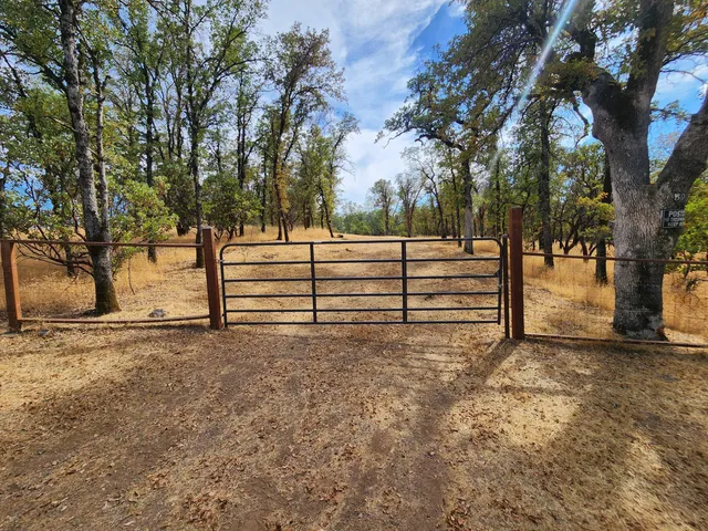 a view of a yard with a tree