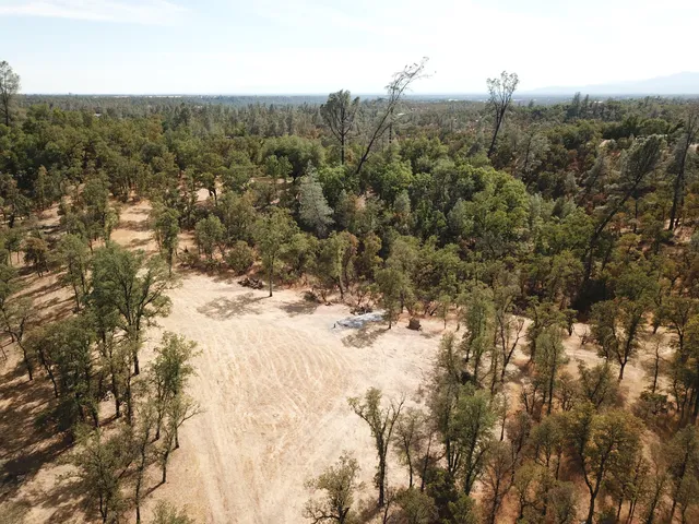 a view of a forest with a street