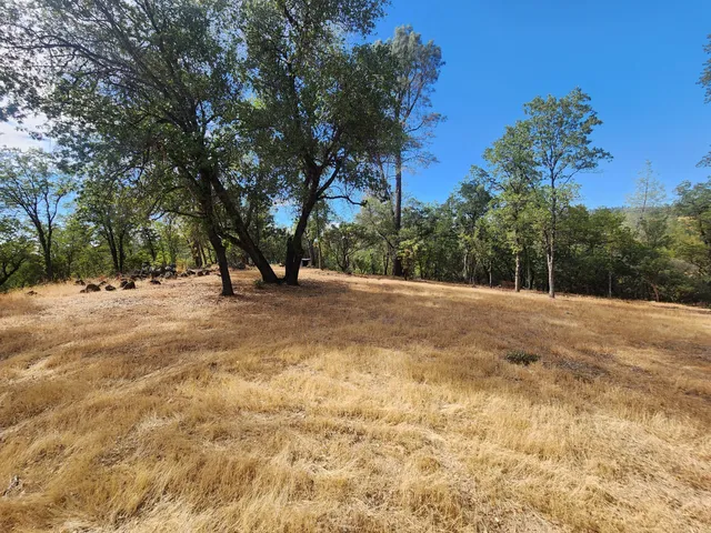 a view of road with trees