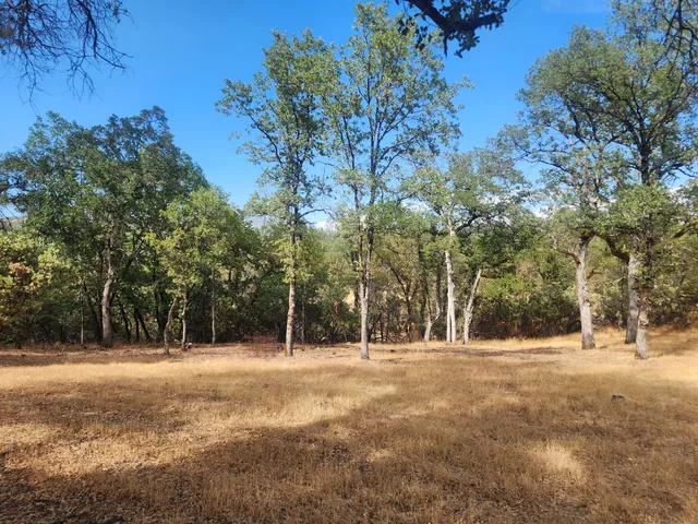 a view of outdoor space with trees