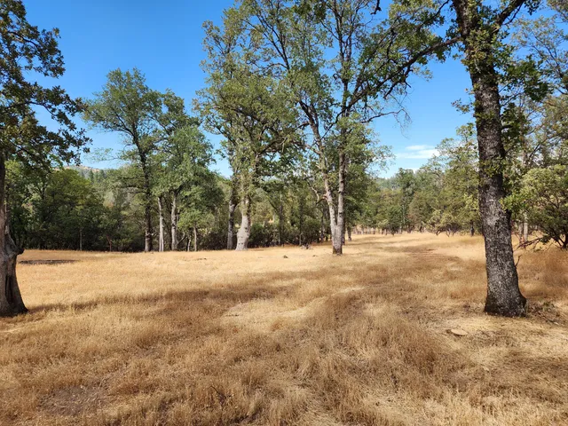 a view of outdoor space with trees