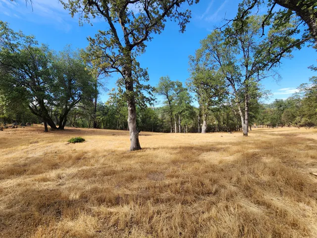a view of yard covered with snow
