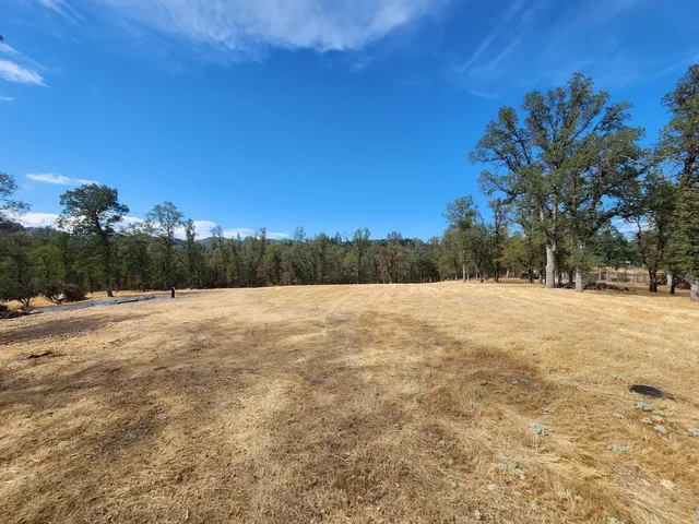 a view of a dry with wooden floor