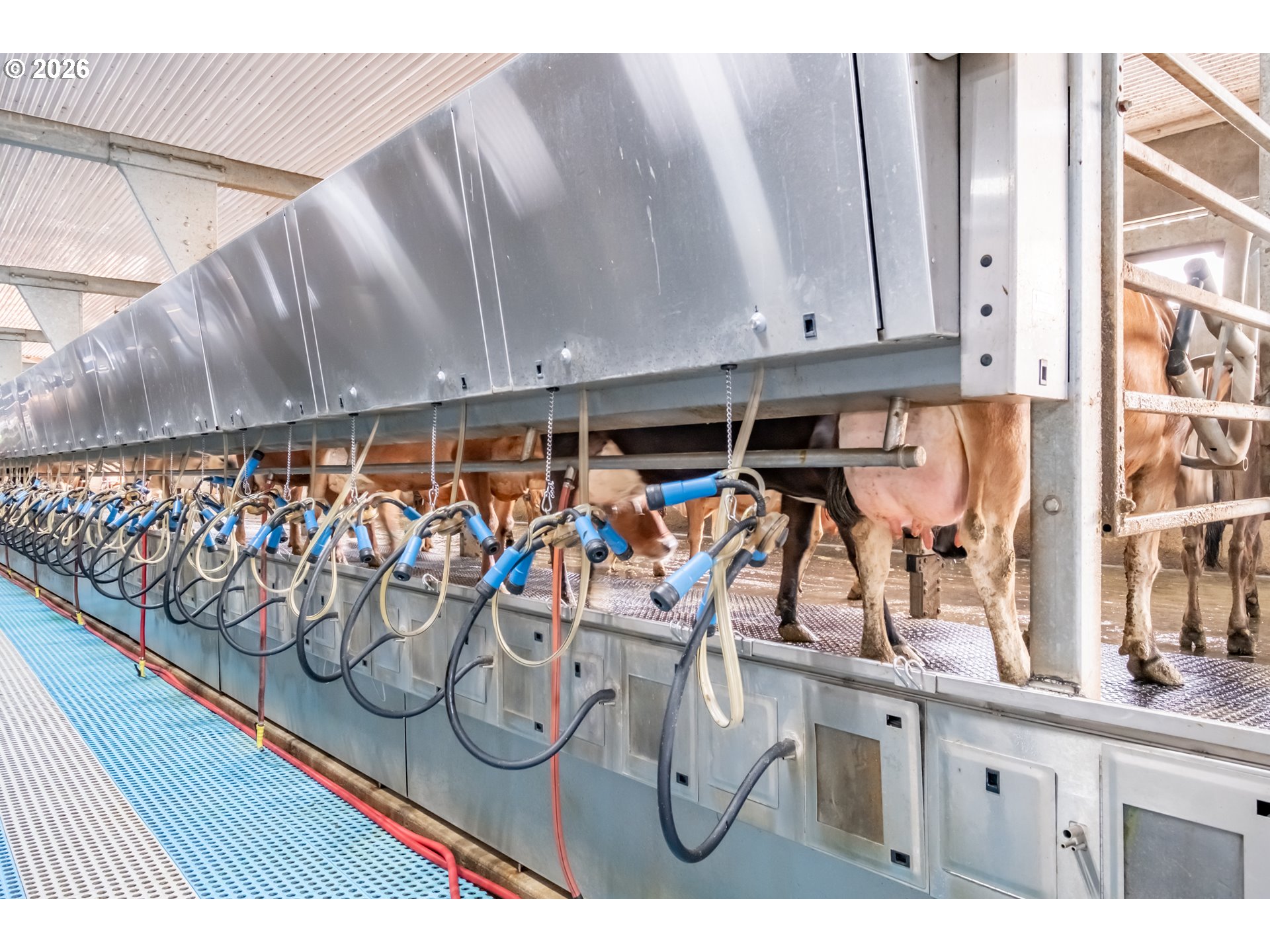 35725 Engel Road Southeast Albany, OR 97322 - Photo 23 of 38 a view of storage and utility room