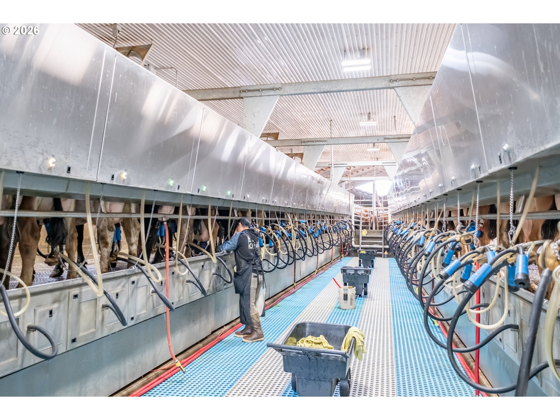35725 Engel Road Southeast Albany, OR 97322 - Photo 25 of 38 a view of a room with gym equipment