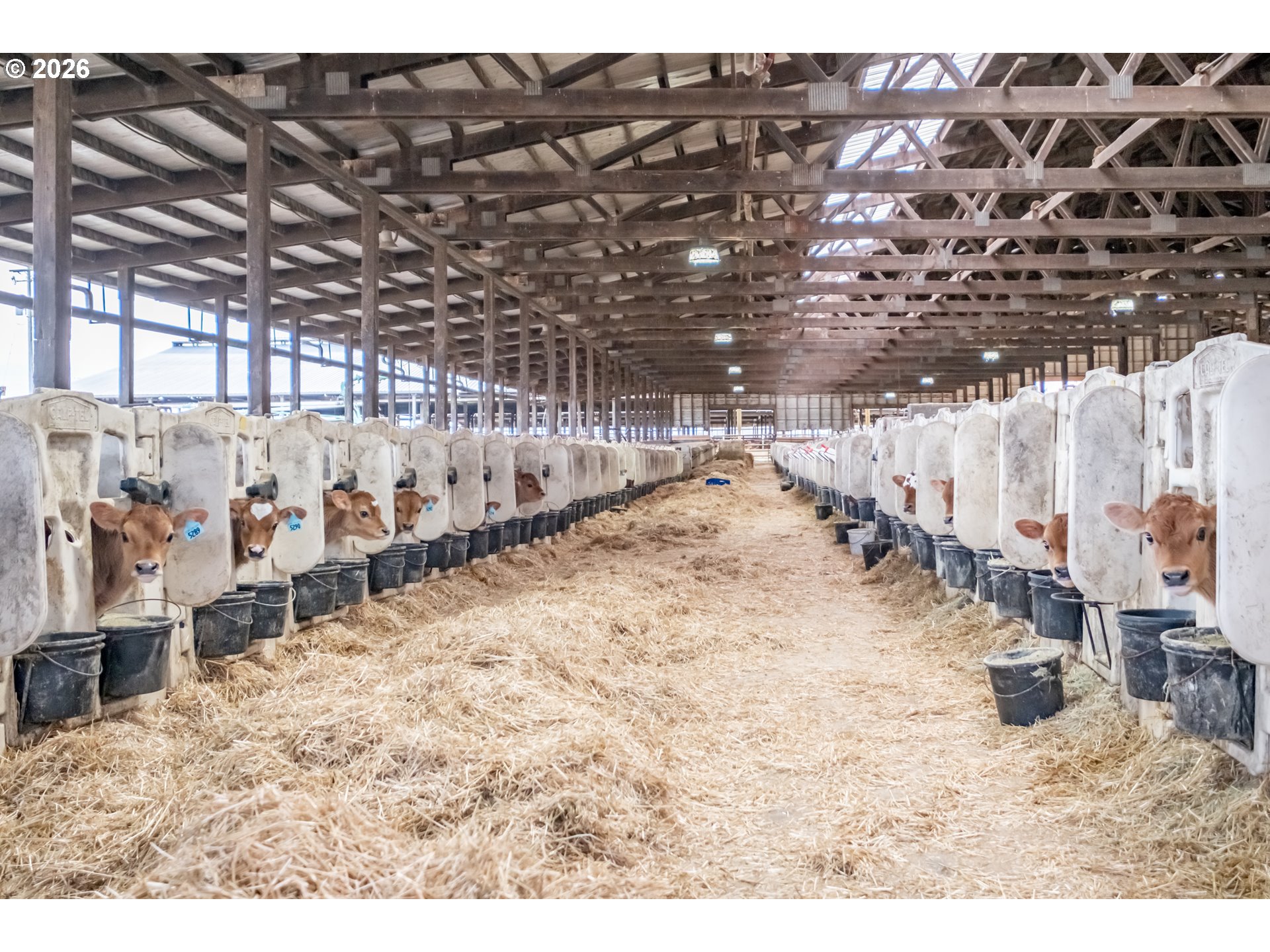 35725 Engel Road Southeast Albany, OR 97322 - Photo 27 of 38 a view of a backyard