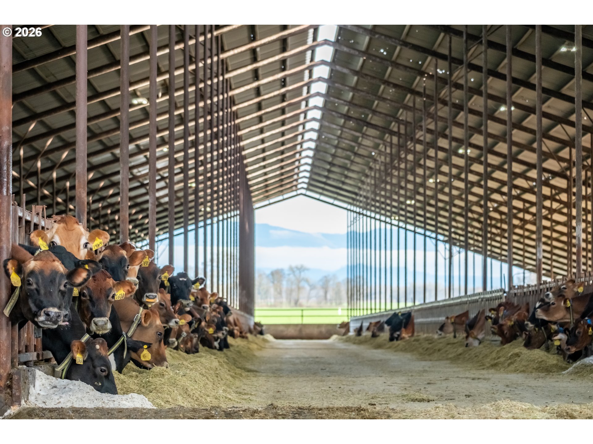 35725 Engel Road Southeast Albany, OR 97322 - Photo 6 of 38 a view of entryway