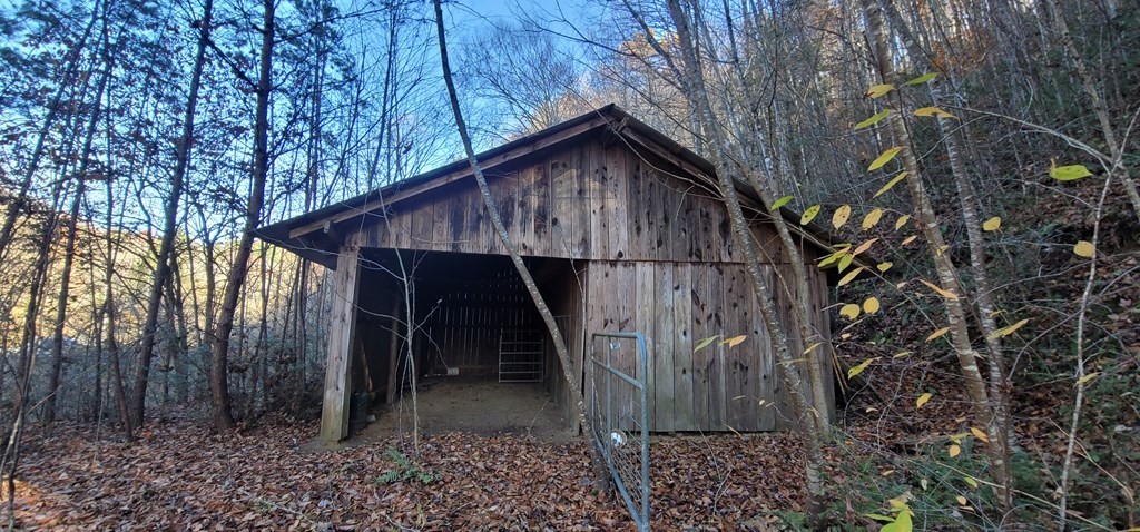 2 Wilhite Road Cosby, TN 37722 - Photo 11 of 24