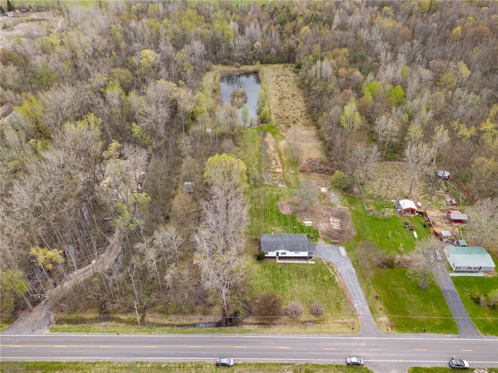 4173 Hosey Road Palmyra, NY 14522 - Photo 9 of 32