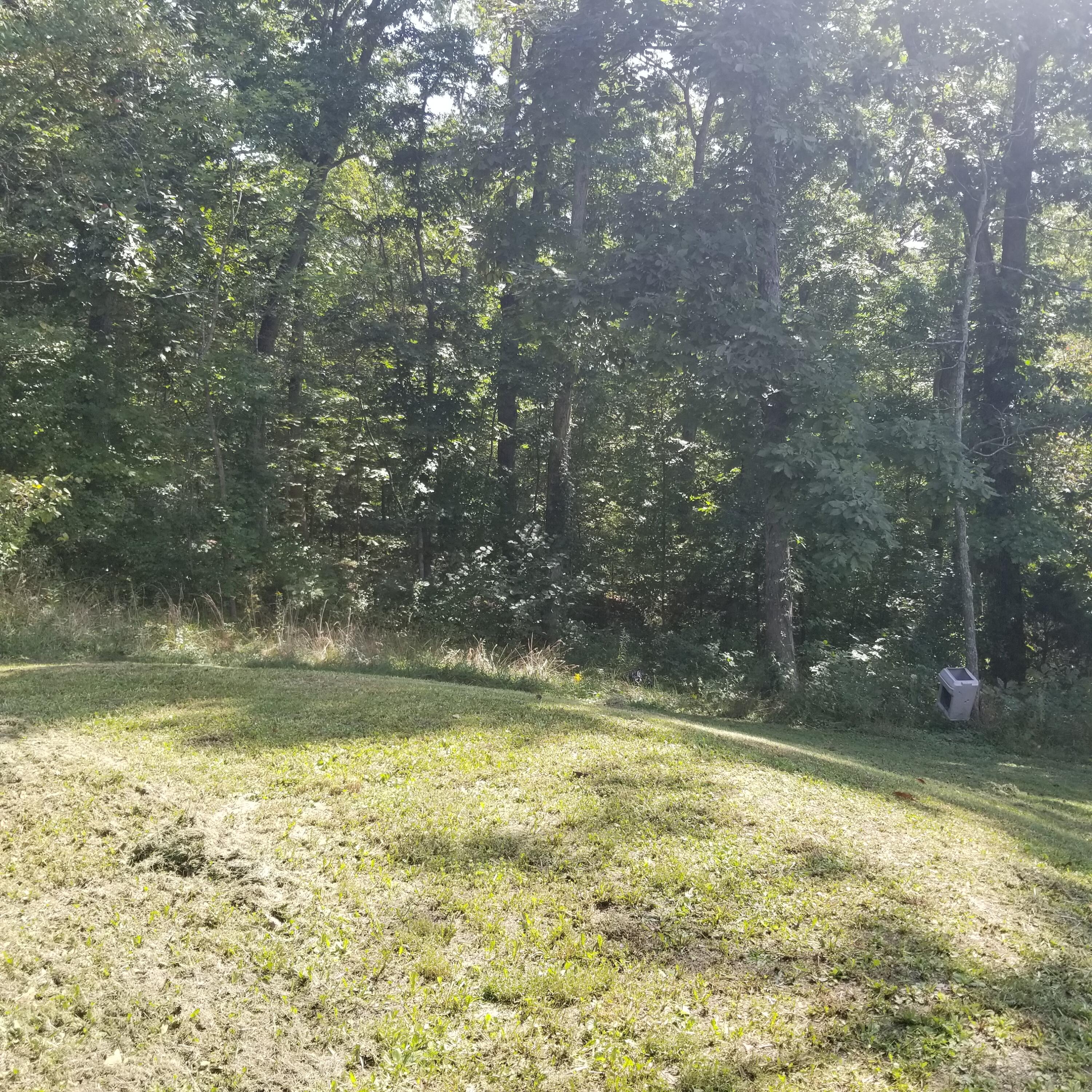 90 Redbird Road Mount Vernon, KY 40456 - Photo 10 of 27 20210929_125353