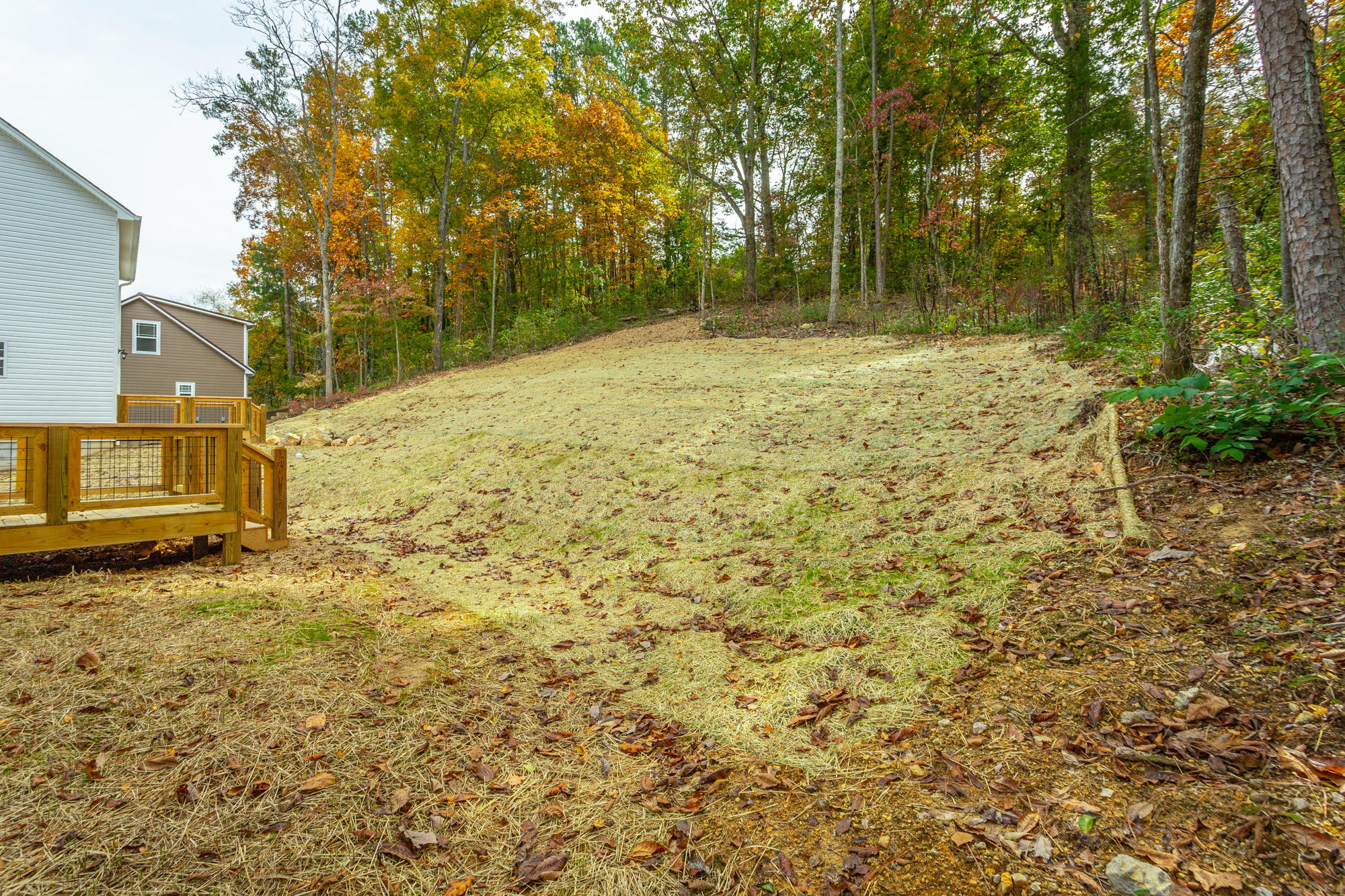 8922 Fuller Road Chattanooga, TN 37421 - Photo 39 of 49 8922 Fuller Rd. HD-39