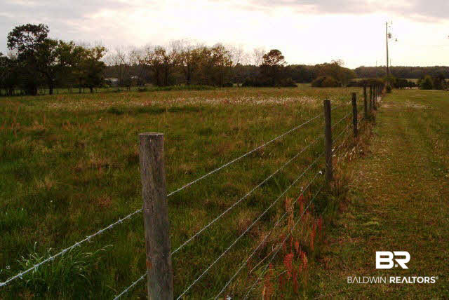 14270 County Road 93 Lillian, AL 36549 - Photo 2 of 6 Fenced on all Four sides - Gate on CR 93