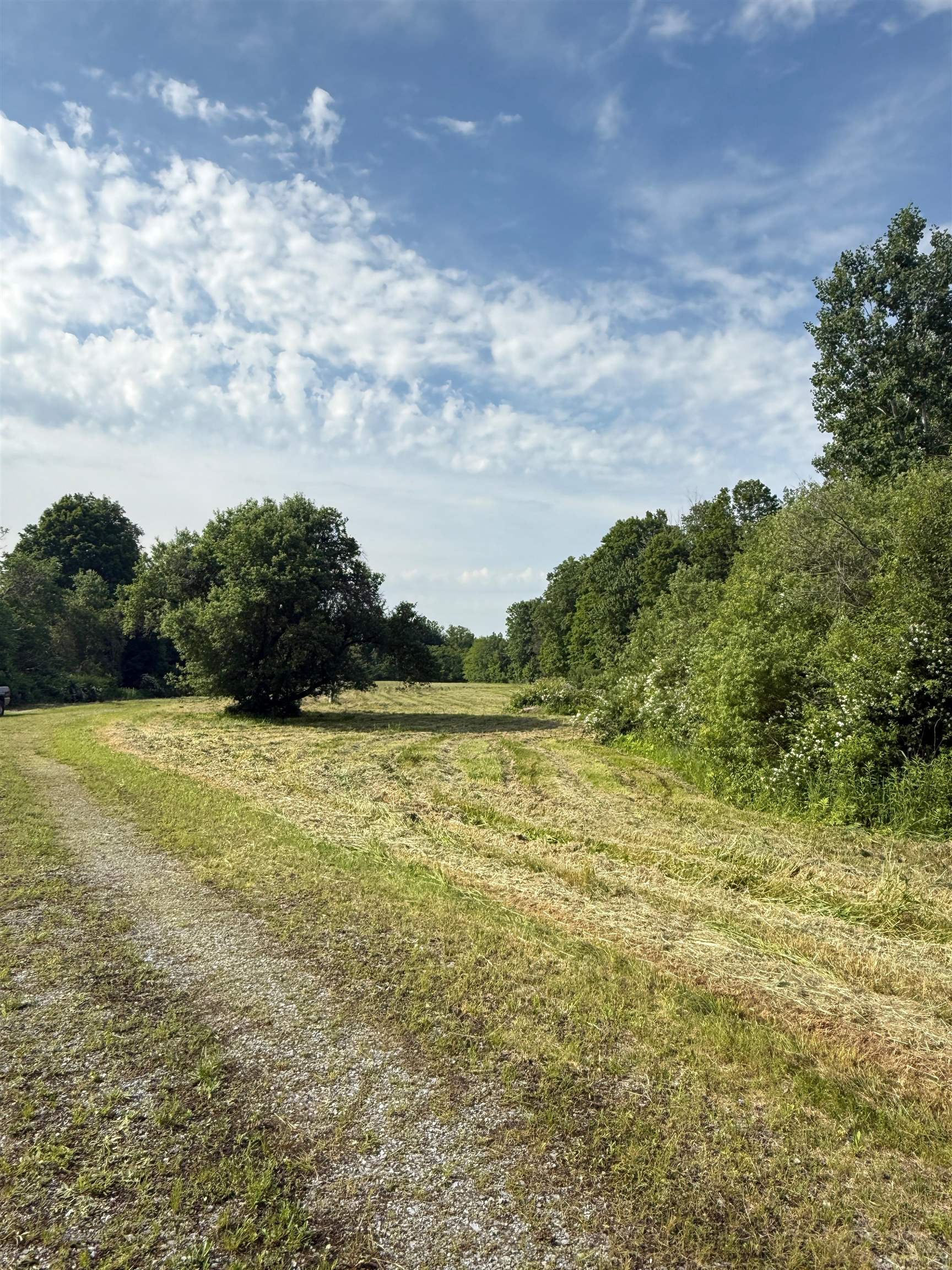 720 North Branch Street Bennington, VT 05201 - Photo 8 of 10