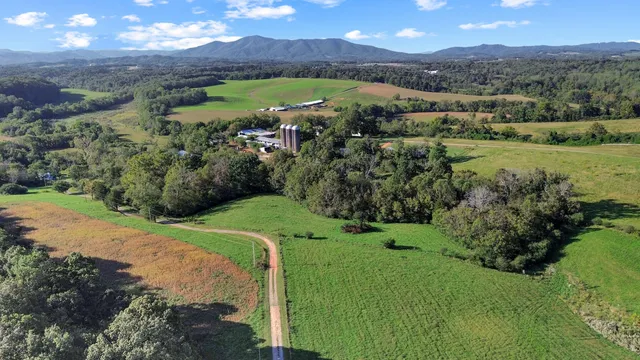 a view of a town with mountains in the background
