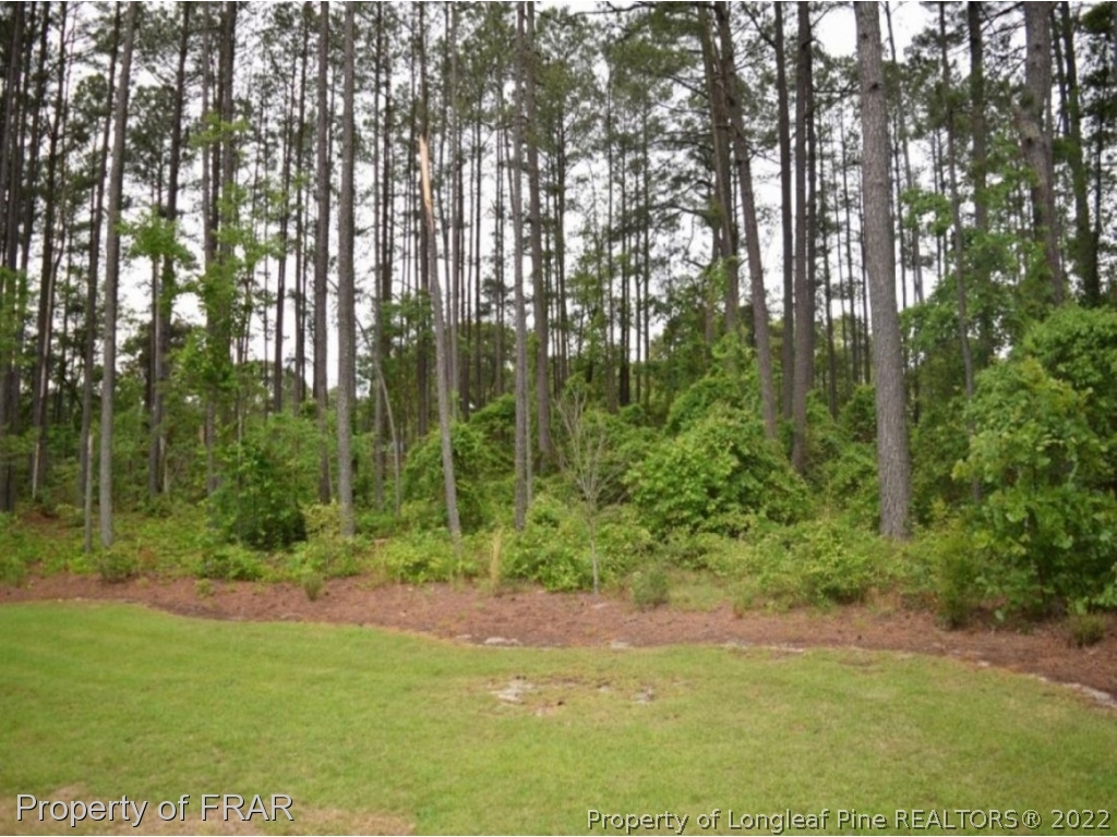 1804 Micahs Way North Spring Lake, NC 28390 - Photo 2 of 30 a view of outdoor space and yard