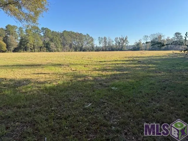$250,000 | Tbd Buck Carroll Road, Walker, LA 70785