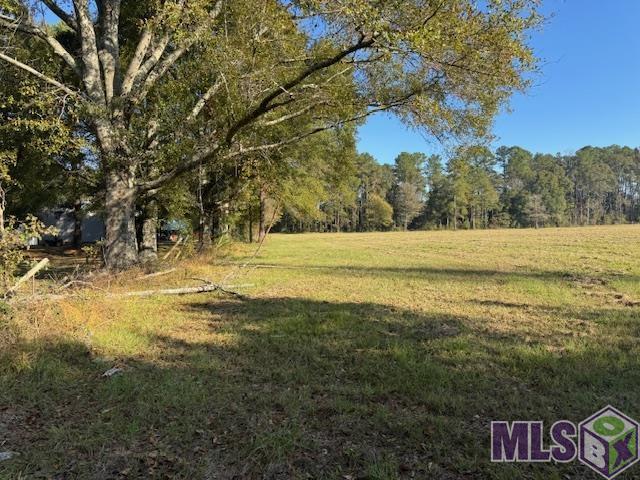 Tbd Buck Carroll Road Walker, LA 70785 - Photo 2 of 2