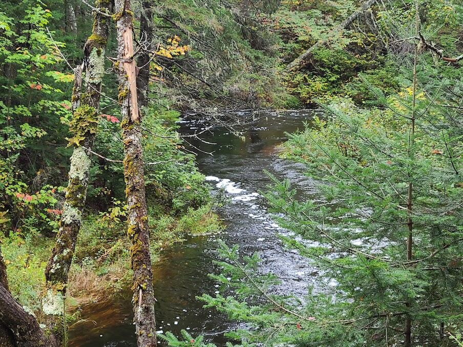 Lot 6 Estabrook Road Amity, ME 04471 - Photo 14 of 23 20210927_104944