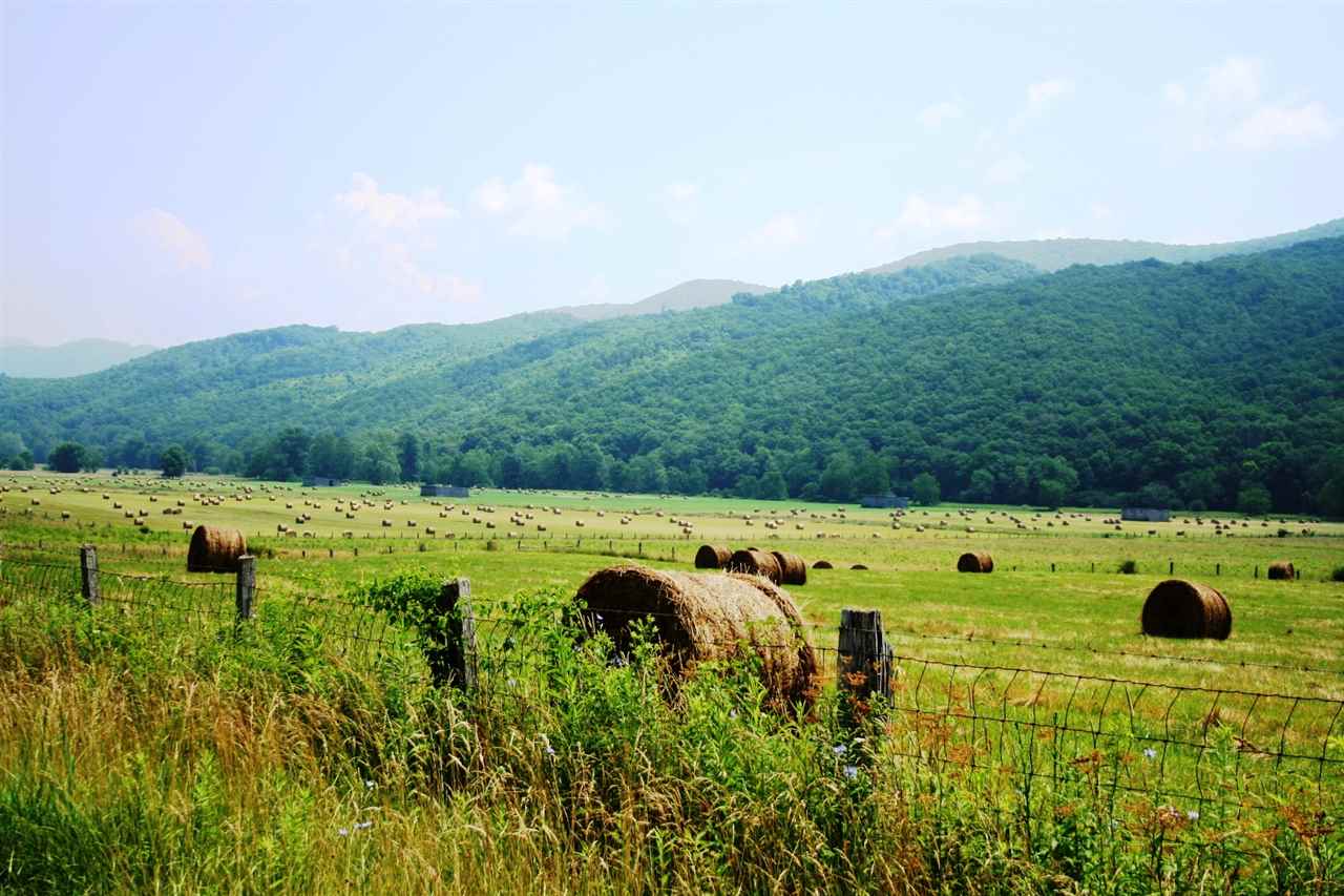 Jackson River Road Monterey, VA 24465 - Photo 1 of 1 Gallery Image 1