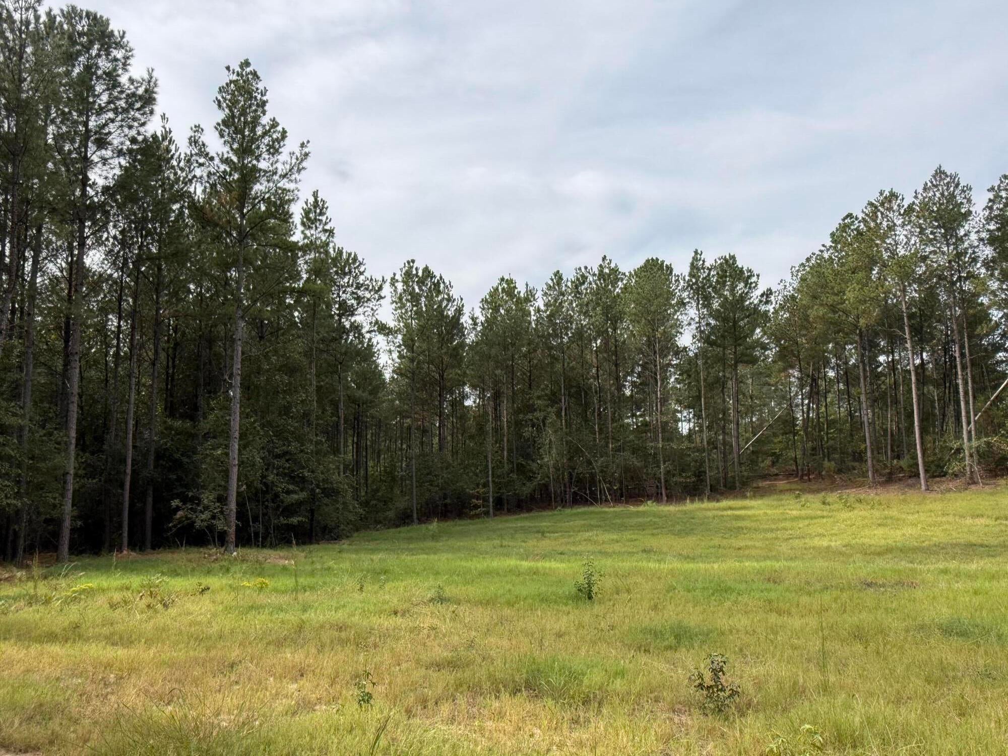Tbd New Holland Road Aiken, SC 29805 - Photo 2 of 7 Gallery Image 2