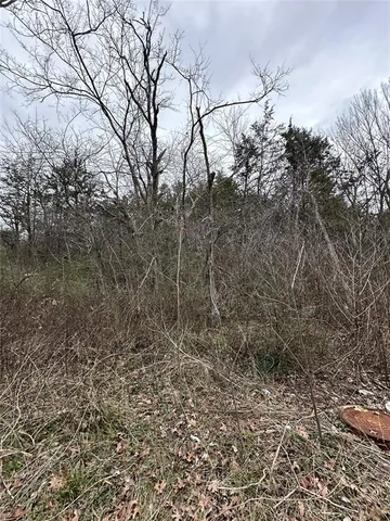 $10,000 | 637 Munson Street, Denison, TX 75021