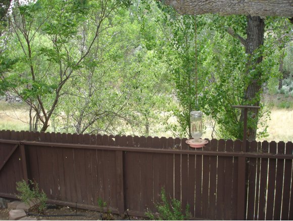 1445 Coyote Road Prescott, AZ 86303 - Photo 3 of 11 Additional Photo