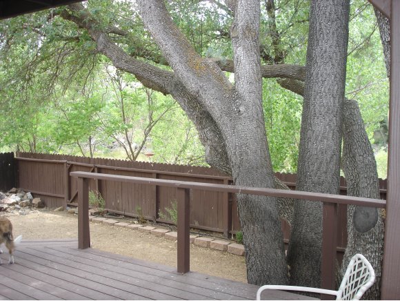 1445 Coyote Road Prescott, AZ 86303 - Photo 4 of 11 Additional Photo