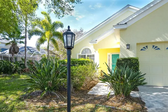 a yellow plant in a garden