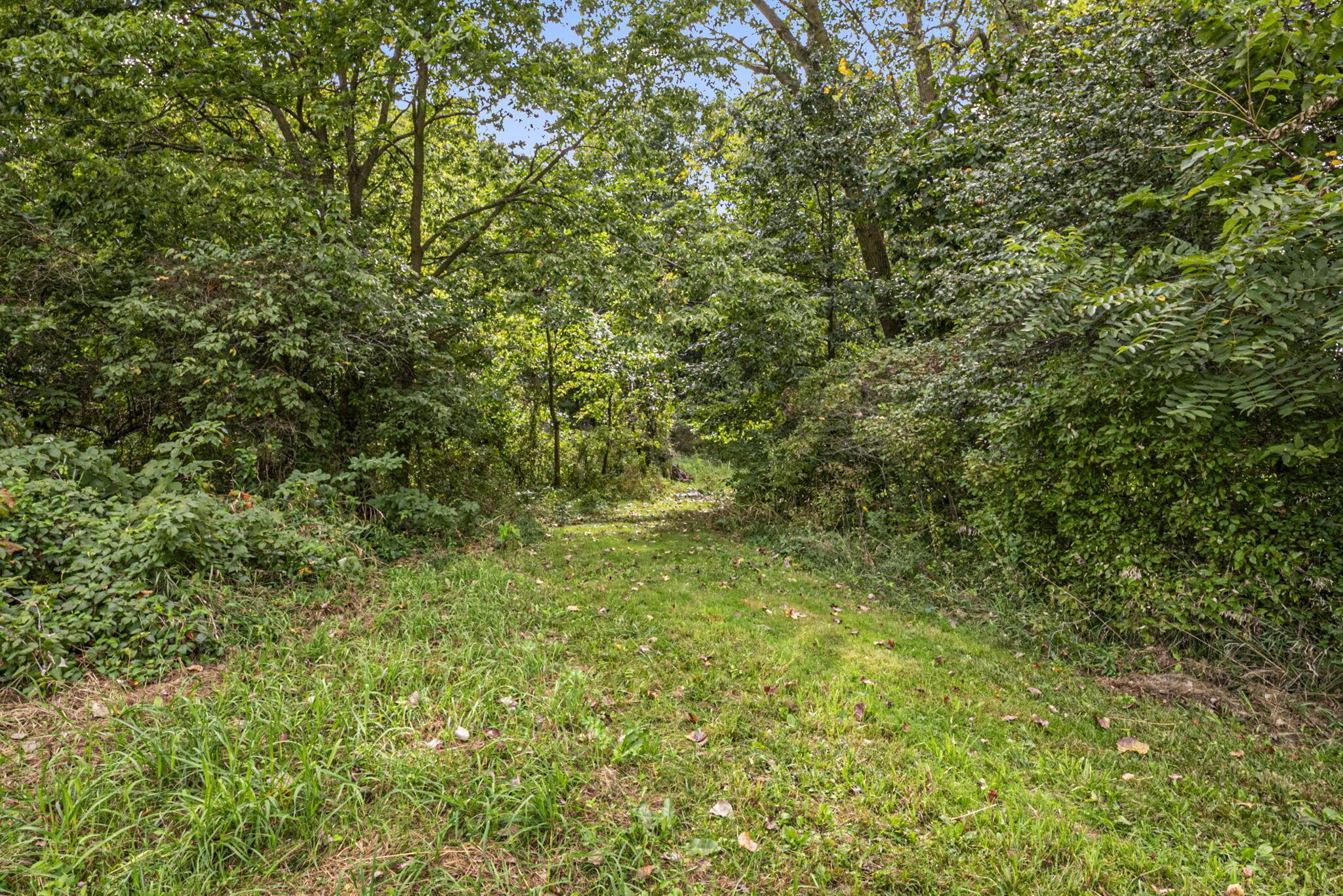 0 Likens Road Marion, OH 43302 - Photo 48 of 88 46-web-or-mls-DSC07032