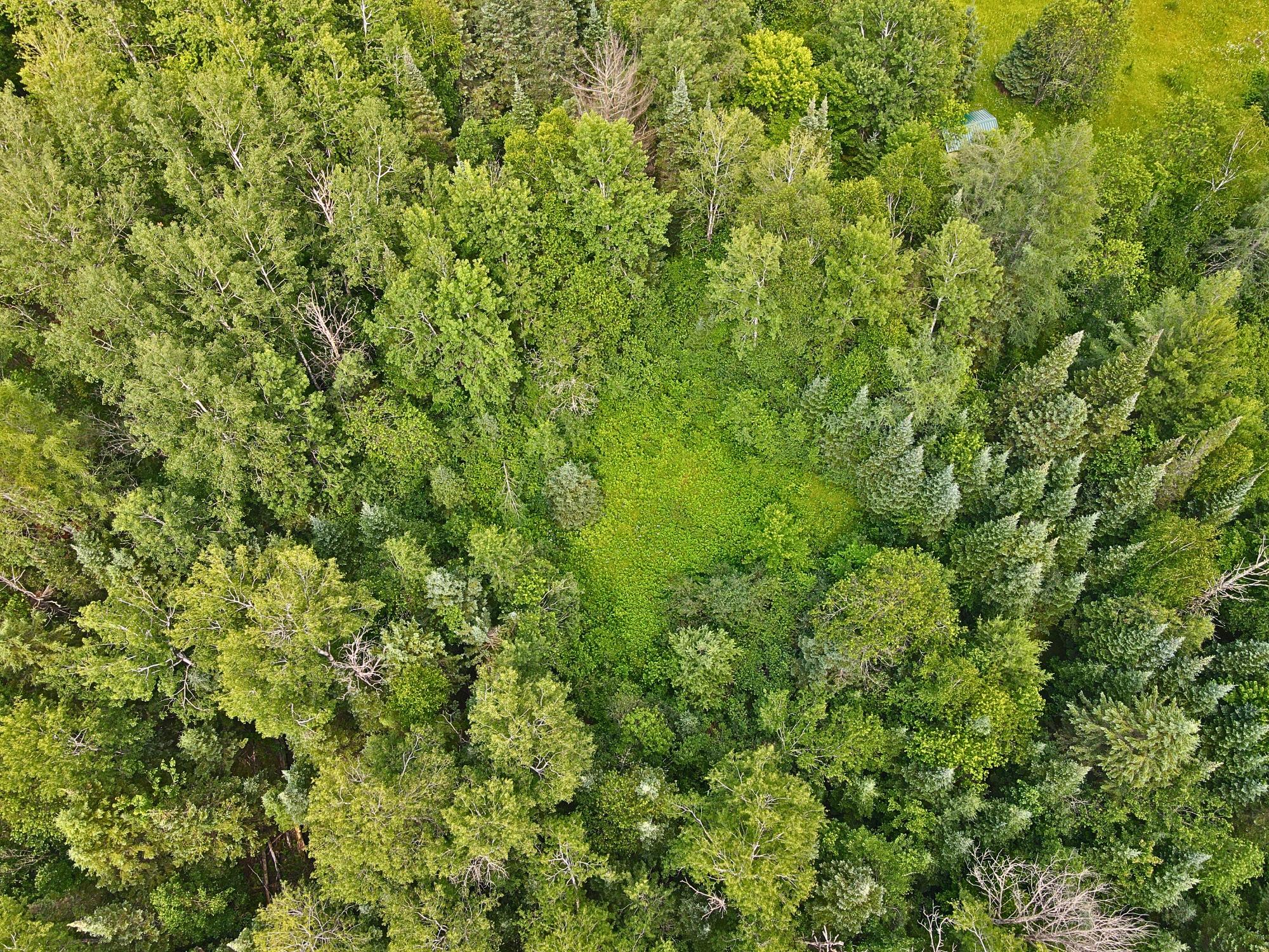 3.2-a Bert Schmidt Road Glidden, WI 54527 - Photo 4 of 21