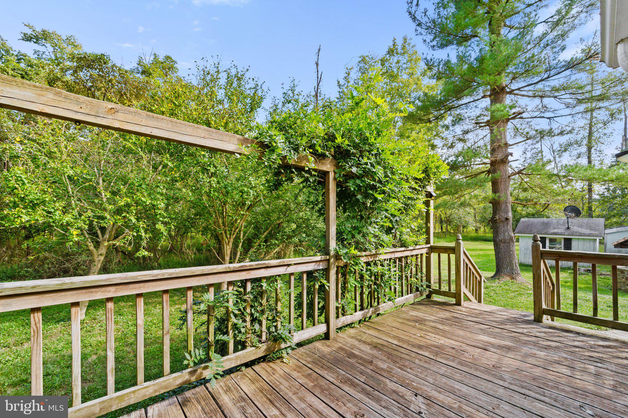 1157 Delaplane Grade Road Upperville, VA 20184 - Photo 10 of 12 Beautiful and private backyard