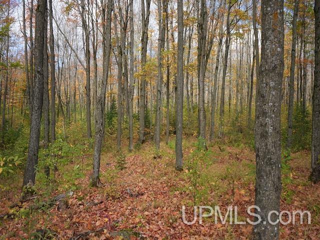 5800 Wolf Lake Road Watersmeet, MI 49969 - Photo 61 of 86