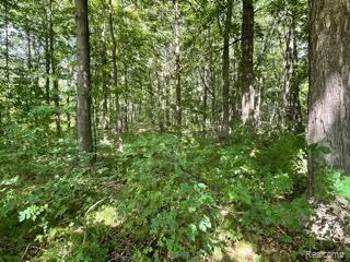 4262 Davison Road Lapeer, MI 48446 - Photo 55 of 55