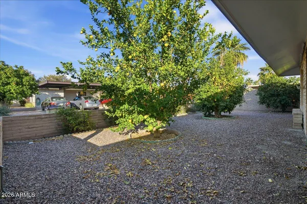 a view of a garden with plants and large trees